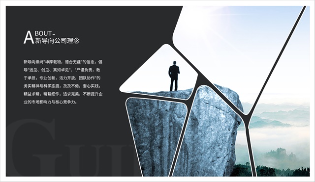 新導向的品牌策劃 信息系統集成服務的戰略價值